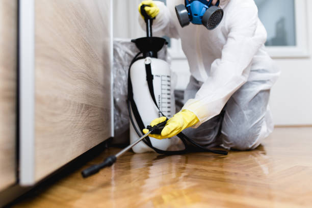 Best Local Pest Control Services  in Laureles, TX