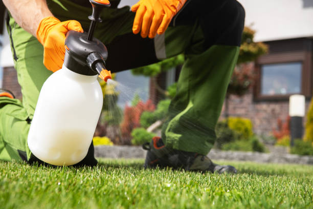 Best Pest Prevention Services  in Laureles, TX