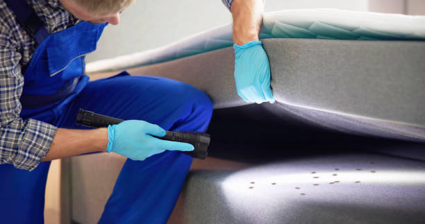 Best Residential Pest Control  in Laureles, TX