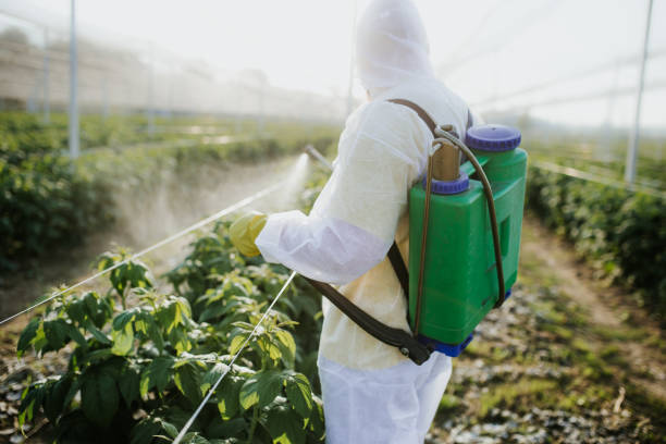 Best Wildlife Control Services  in Laureles, TX